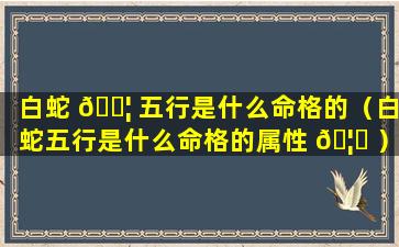 白蛇 🐦 五行是什么命格的（白蛇五行是什么命格的属性 🦅 ）